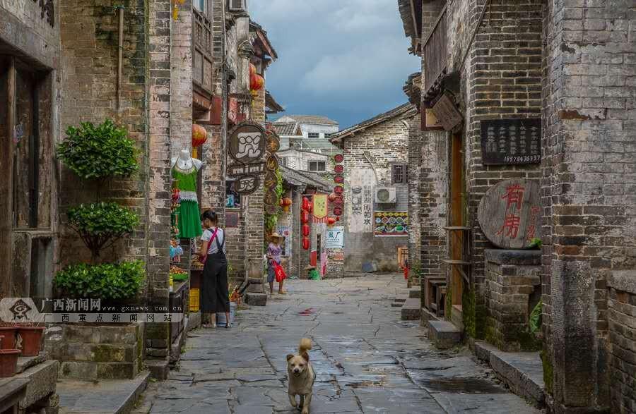 拯救精灵的土地7